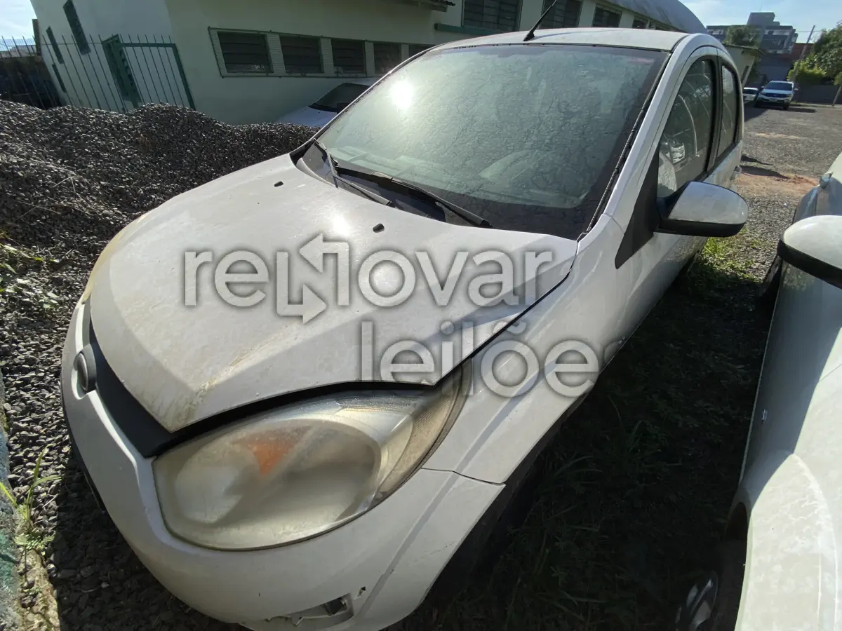 LOTE 007