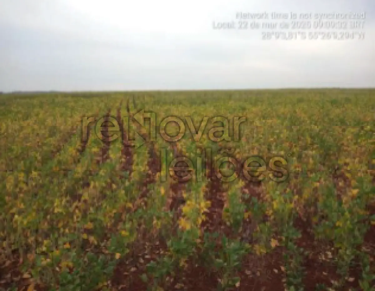 LOTE 021 - ÁREA RURAL C/ 12 HA - LOCALIDADE SÃO JOÃO MIRIN -  GARRUCHOS / RS