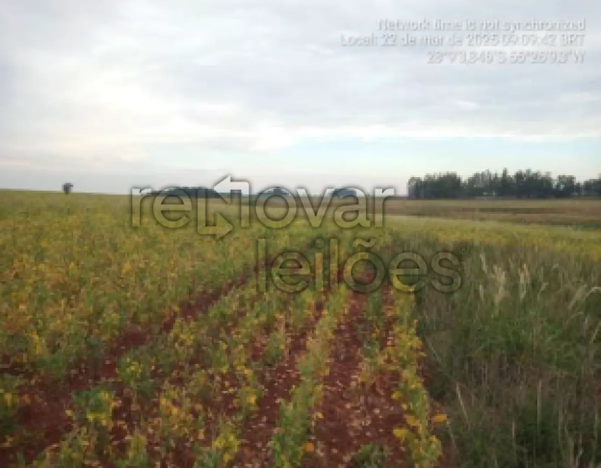 LOTE 021 - ÁREA RURAL C/ 12 HA - LOCALIDADE SÃO JOÃO MIRIN -  GARRUCHOS / RS