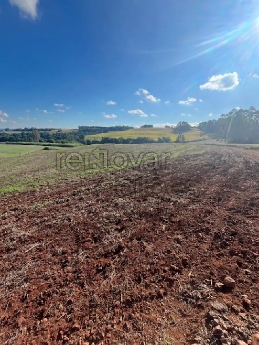 LOTE 001 - ÁREA RURAL DE 1 HA / DENTRO DE ÁREA MAIOR / PARTE DO LOTE Nº 83 / SEÇÃO BRASIL / BELA VISTA / DERRUBADAS - RS
