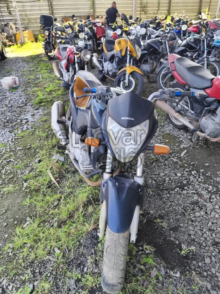 LOTE 0435