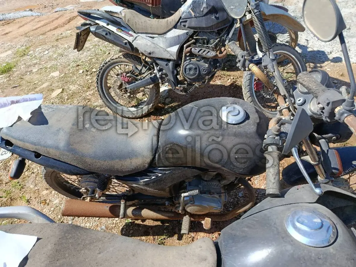 LOTE 0924