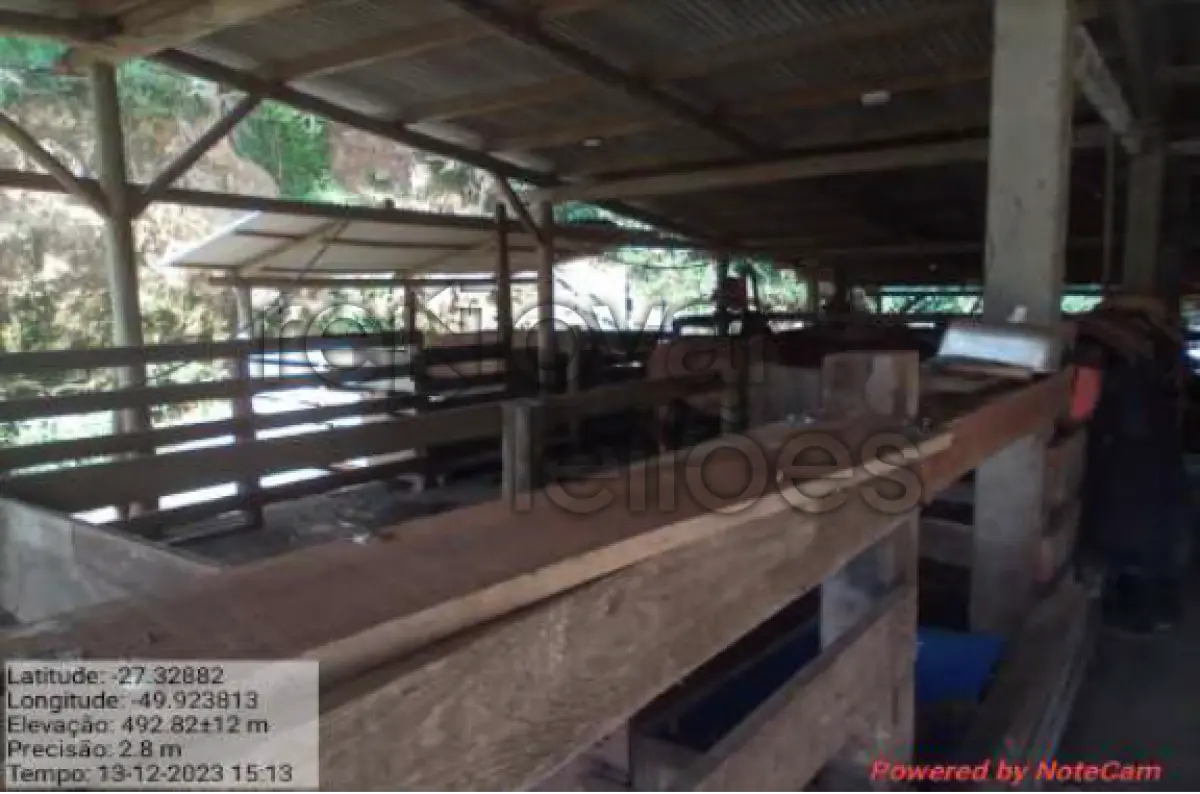 LOTE 001 - ÁREA RURAL DE 12,500 HA / BRAÇO DO TROMBUDO - SC