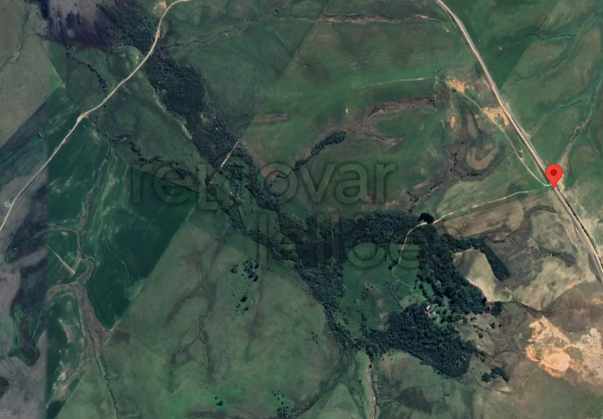 LOTE 002 - ÁREA RURAL C/ 12 HECTARES - CACEQUI / RS