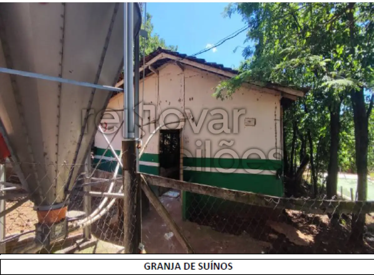 Área rural c/ 15 hec - medianeira / pr