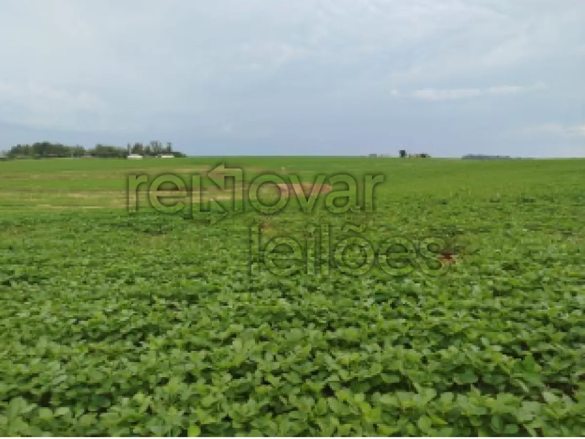 LOTE 001 - ÁREA RURAL C/ 7 HEC - SÃO LUIZ GONZAGA / RS