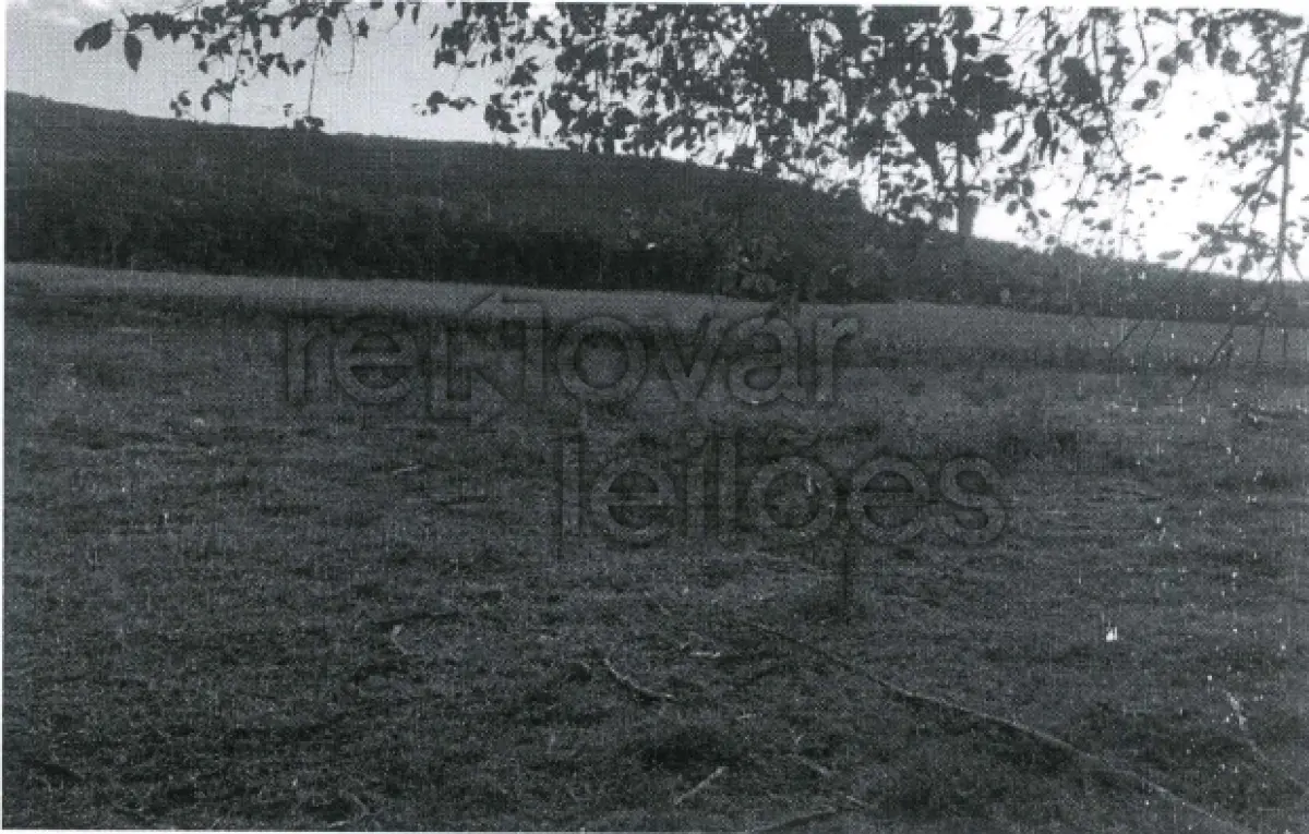 LOTE 001 - ÁREA RURAL C/10 HEC- PORTO VERA CRUZ / RS