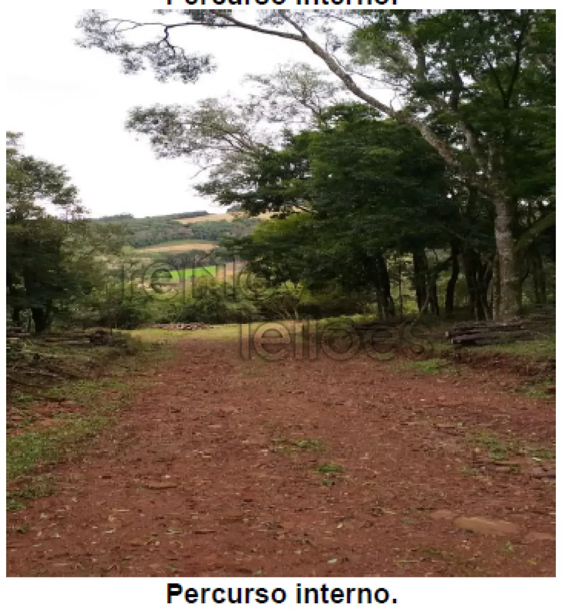 LOTE 001 - ÁREA RURAL C /  12,1 HECTARES -  GUABIJU / RS + ÁREA RURAL C /  3,63 HECTARES - SÃO JORGE / RS