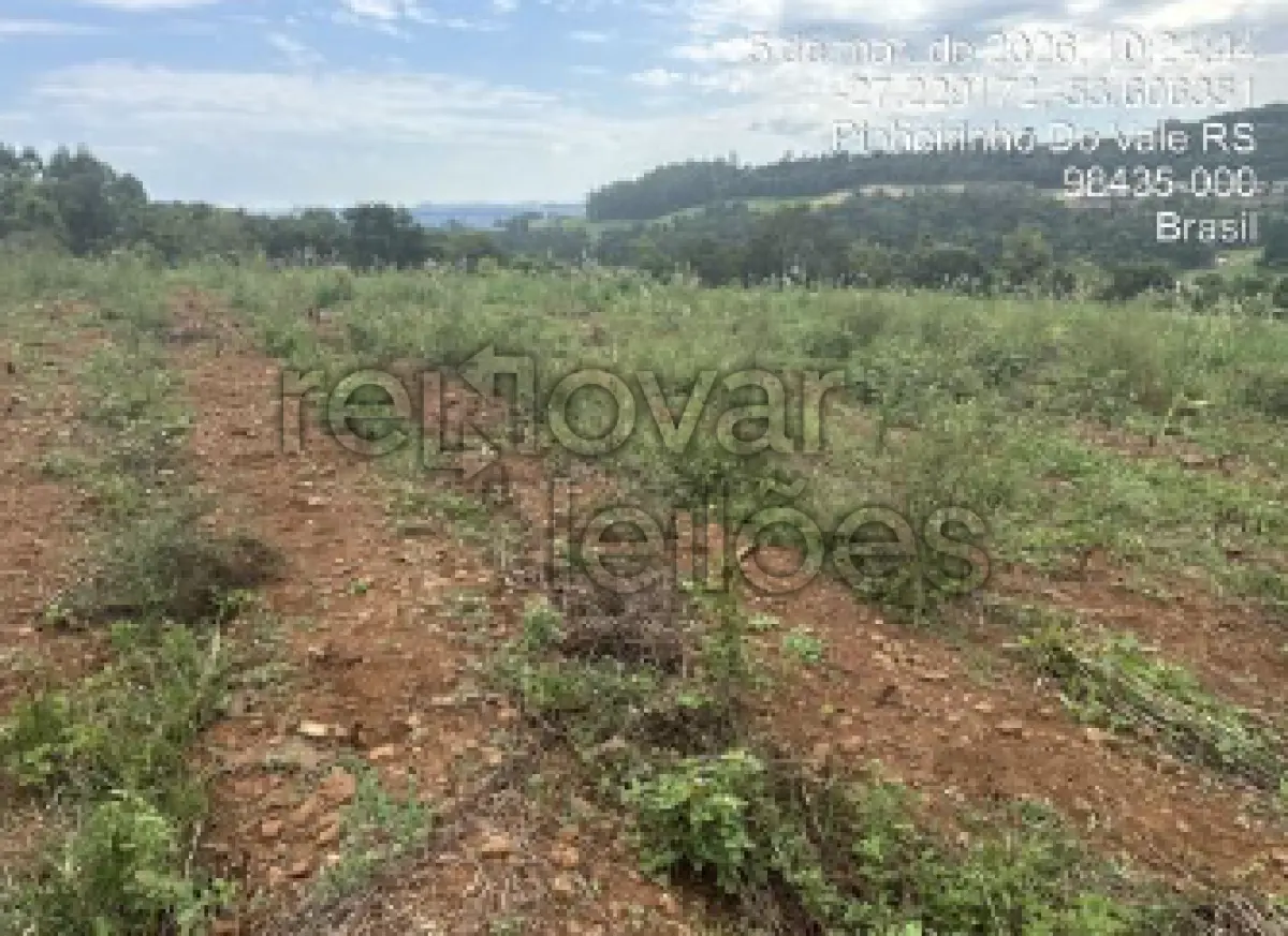 LOTE 001 - ÁREA RURAL C/ 17.000,00 M² - PINHEIRINHO DO VALE - RS