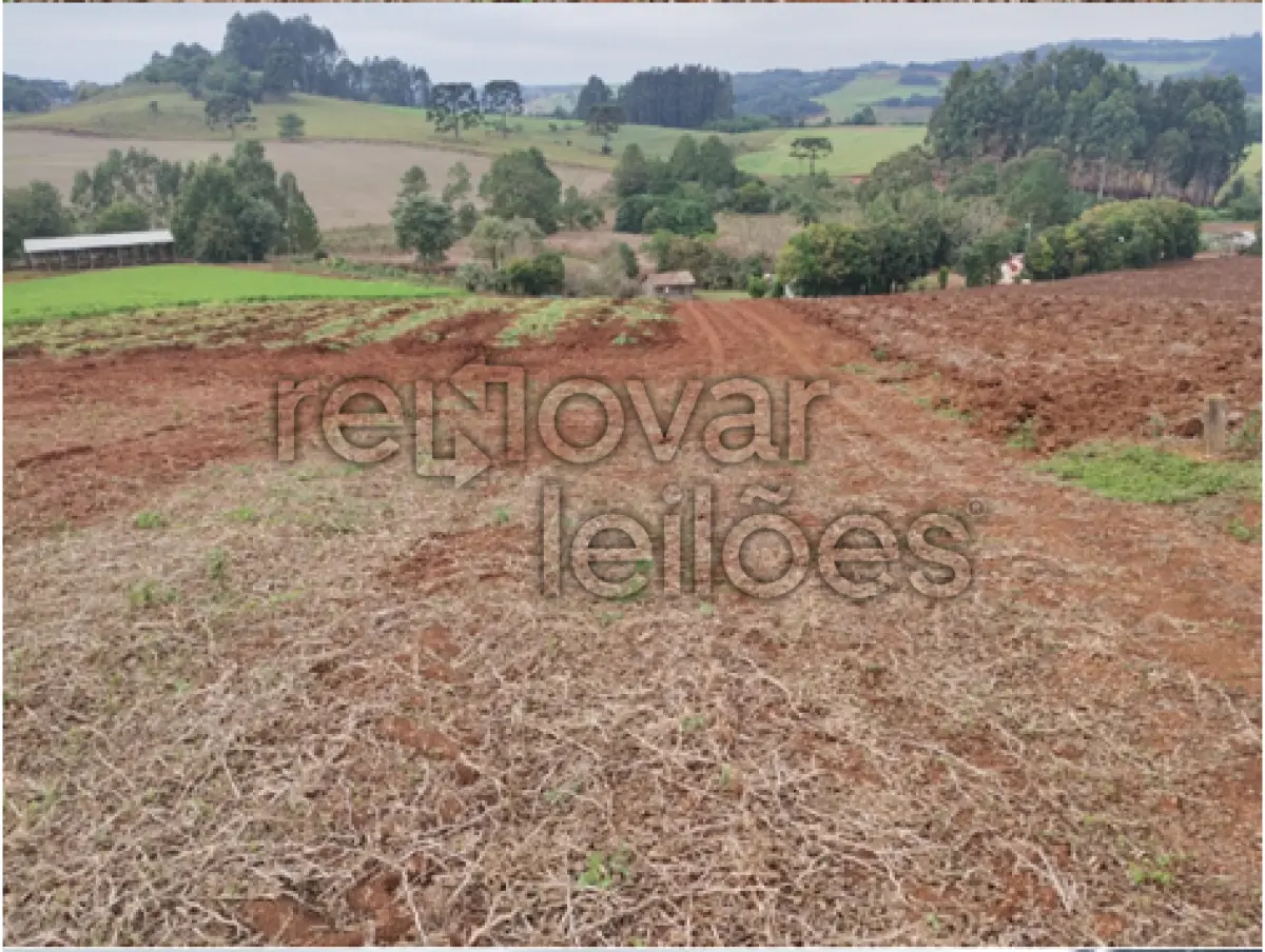 LOTE 003 - ÁREA RURAL C / 5 HECTARES - FREI ROGÉRIO / SC