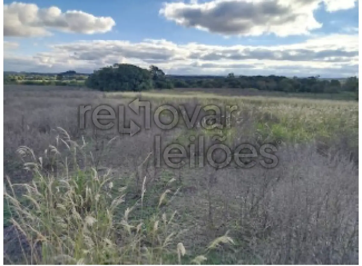 LOTE 001 - ÁREA RURAL C/ 7,59 HECTARES - SÃO NICOLAU / RS