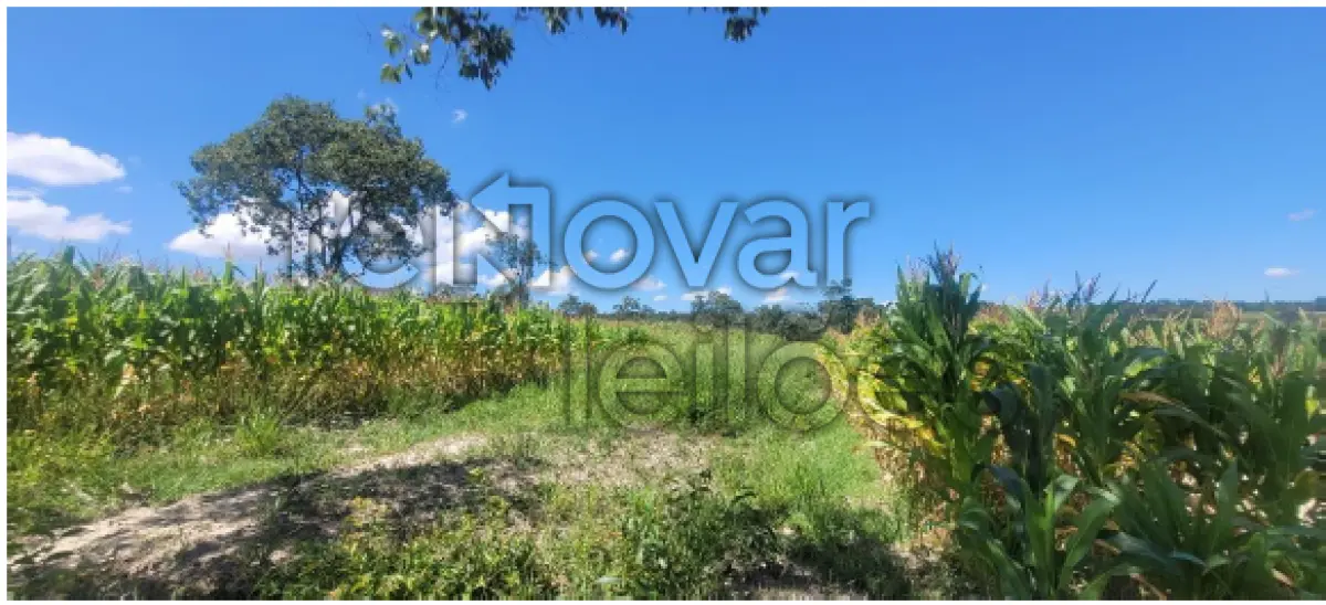 LOTE 001 - ÁREA RURAL C /  4 HECTARES -  ABADIA DOS DOURADOS / MG + ÁREA RURAL C /  2,99 HECTARES - ABADIA DOS DOURADOS / MG