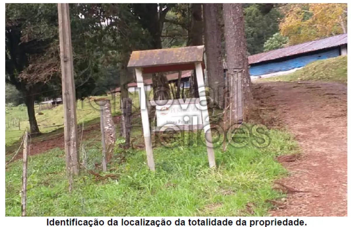 LOTE 001 - ÁREA RURAL C /  12,1 HECTARES -  GUABIJU / RS + ÁREA RURAL C /  3,63 HECTARES - SÃO JORGE / RS