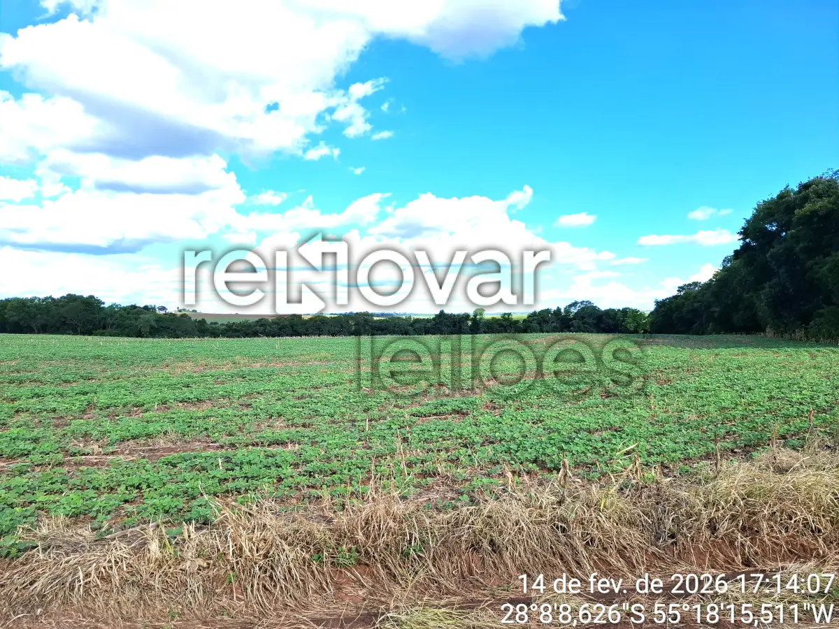LOTE 001 - ÁREA RURAL C / 1 HECTARE - DEZESSEIS DE NOVEMBRO / RS