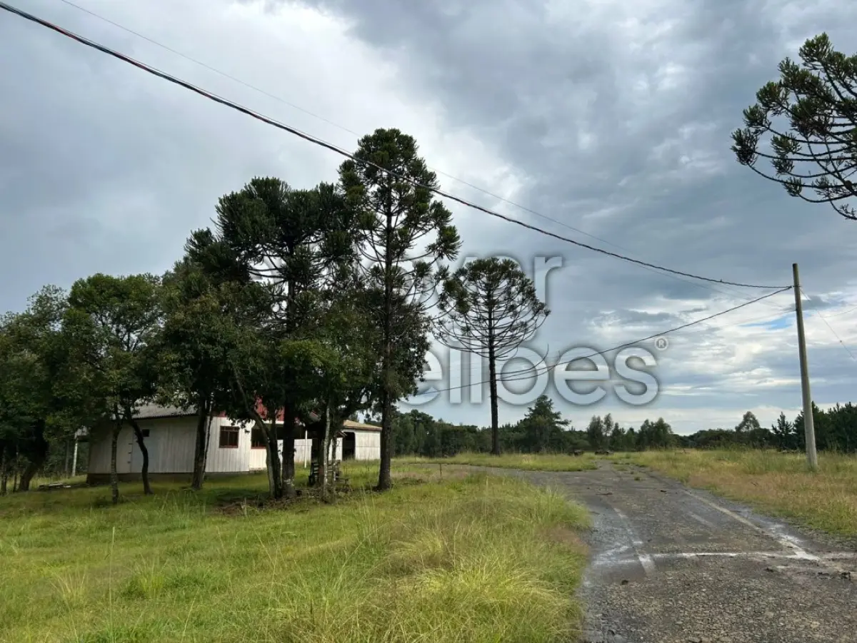 LOTE 002 - ÁREA RURAL C / 4 HECTARES - LEBON RÉGIS / SC