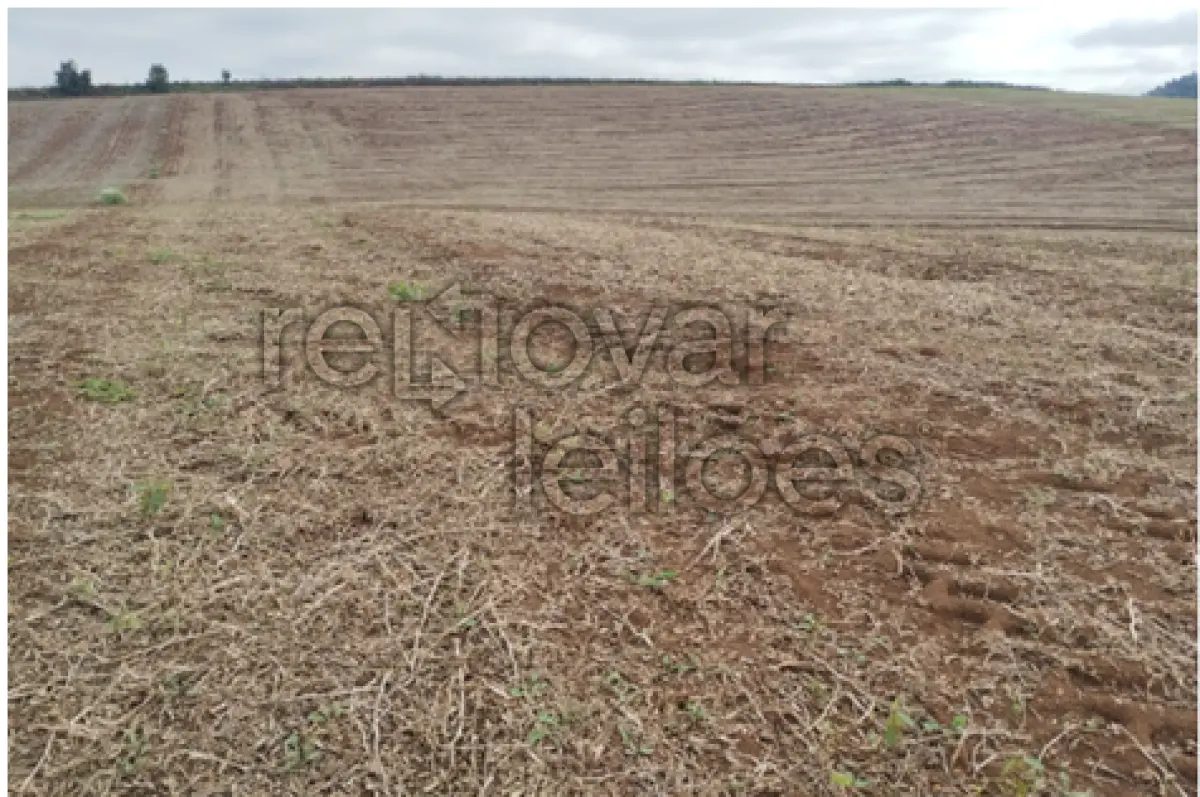 LOTE 003 - ÁREA RURAL C / 5 HECTARES - FREI ROGÉRIO / SC