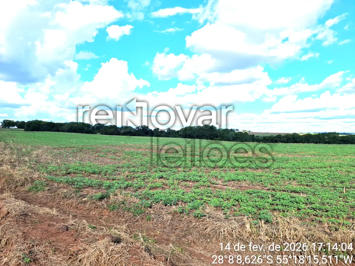 LOTE 001