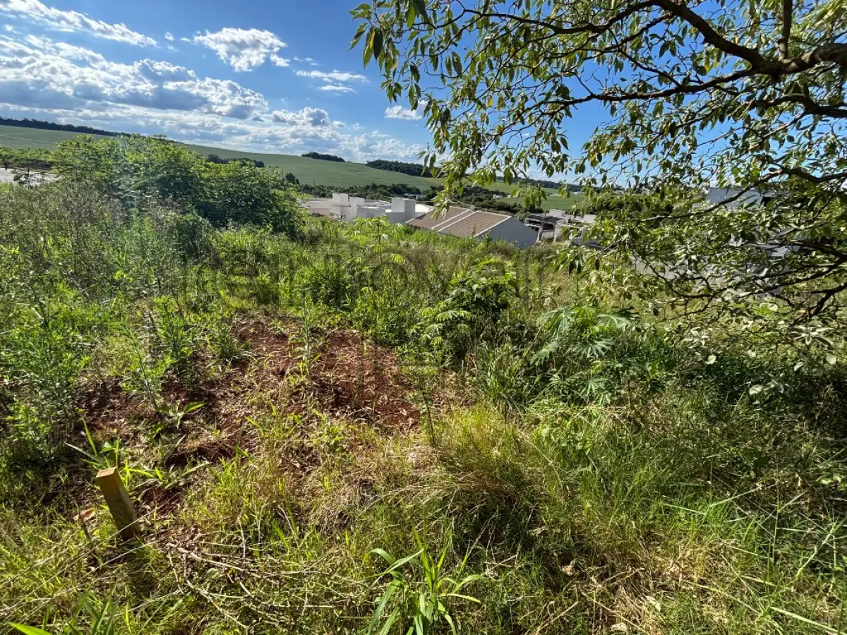 LOTE 004 - TERRENO URBANO C / 296,40M² - PATO BRANCO / PR