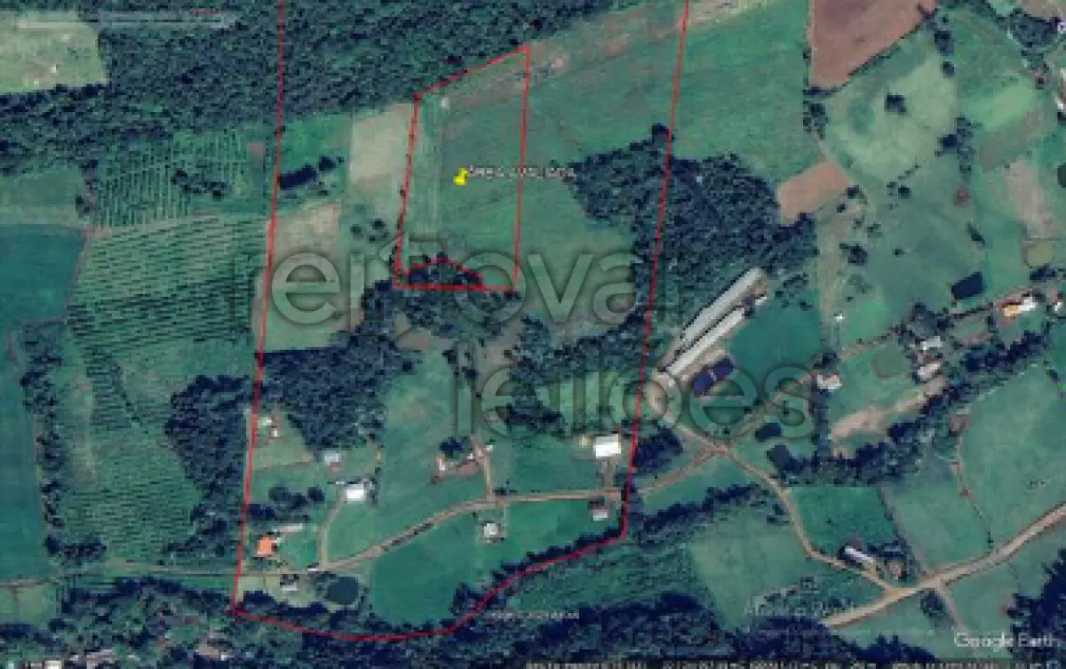 LOTE 001