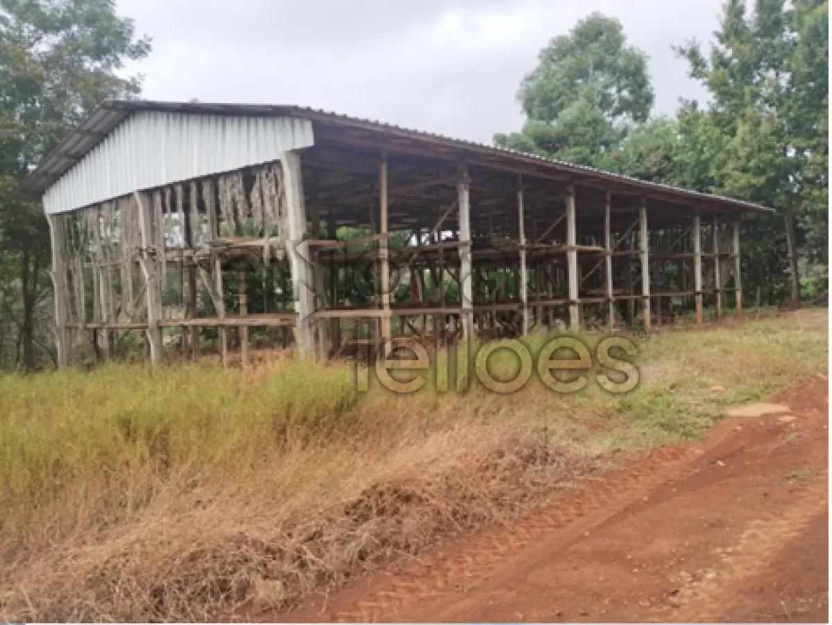 LOTE 003
