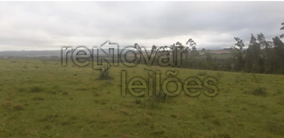 LOTE 001 - ÁREA RURAL C/ 80.000,00 M² - SÃO PEDRO DO SUL / RS