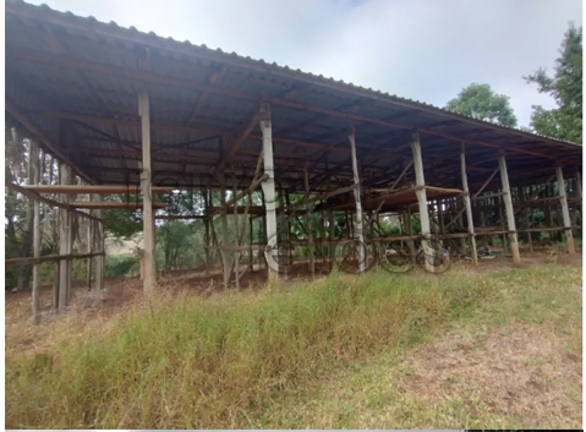 LOTE 003 - ÁREA RURAL C / 5 HECTARES - FREI ROGÉRIO / SC