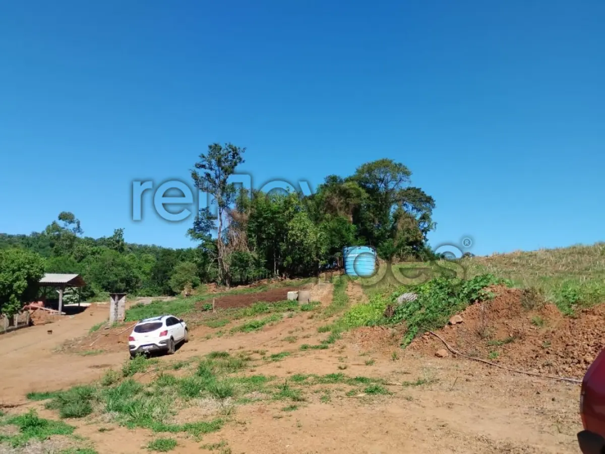 LOTE 001 - ÁREA RURAL C / 6,5 HECTARES - CRISSIUMAL / RS