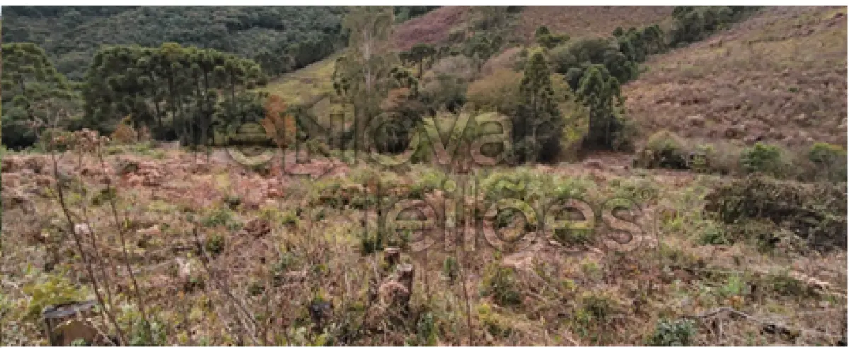 LOTE 001