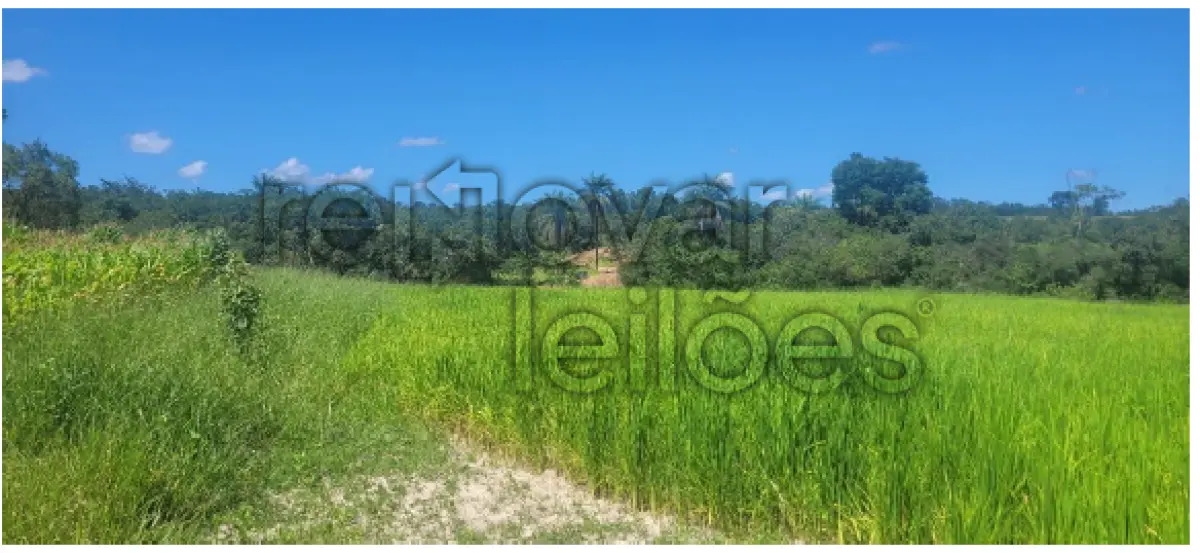 LOTE 001 - ÁREA RURAL C /  4 HECTARES -  ABADIA DOS DOURADOS / MG + ÁREA RURAL C /  2,99 HECTARES - ABADIA DOS DOURADOS / MG
