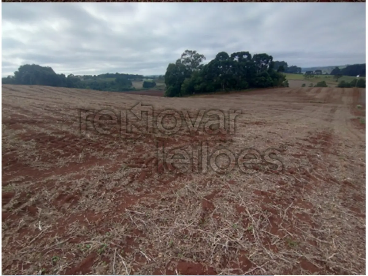 LOTE 003 - ÁREA RURAL C / 5 HECTARES - FREI ROGÉRIO / SC