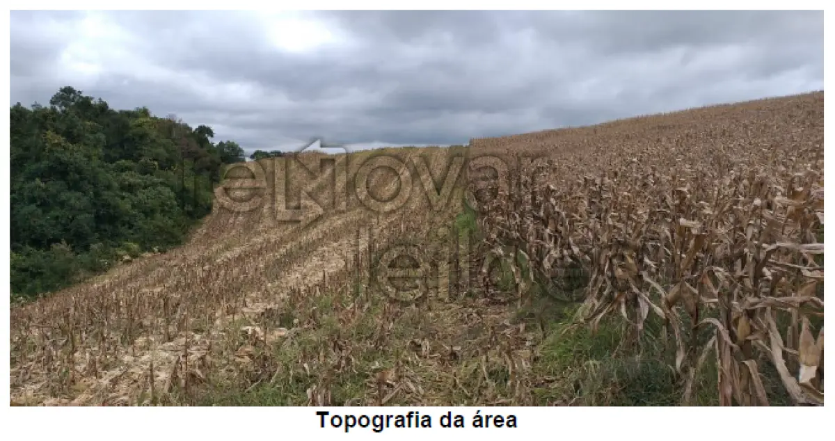 LOTE 001 - ÁREA RURAL C /  12,1 HECTARES -  GUABIJU / RS + ÁREA RURAL C /  3,63 HECTARES - SÃO JORGE / RS