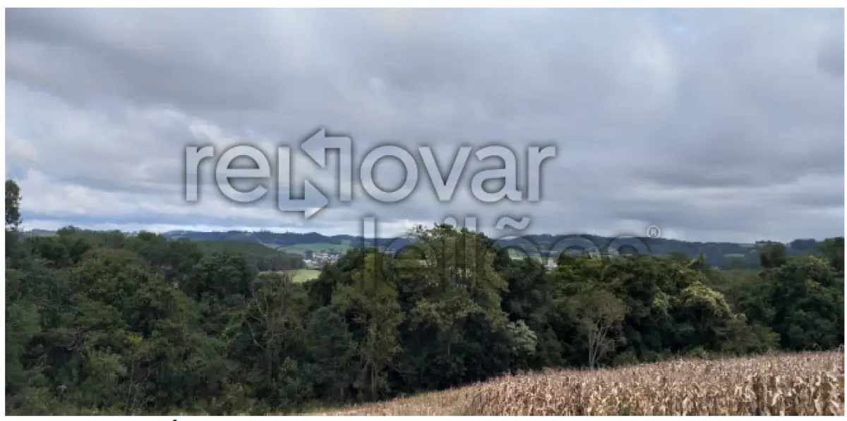 LOTE 001 - ÁREA RURAL C /  12,1 HECTARES -  GUABIJU / RS + ÁREA RURAL C /  3,63 HECTARES - SÃO JORGE / RS
