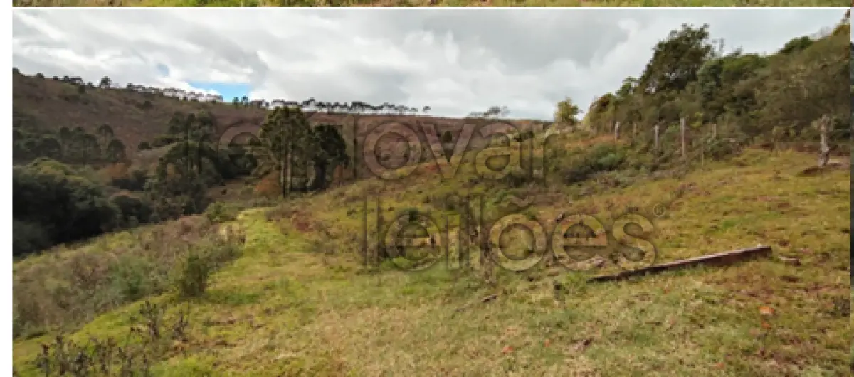 LOTE 001 - ÁREA RURAL C / 10 HECTARES - CERRO NEGRO / SC
