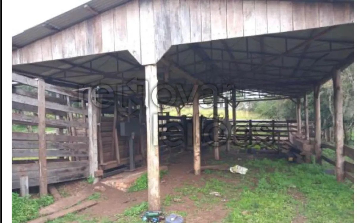 LOTE 002 - ÁREA RURAL C/ 3,2164 HEC  -  ROQUE GONZALES / RS