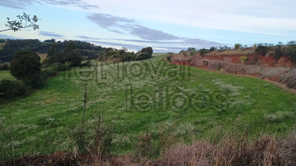 LOTE 003 - ÁREA RURAL C / 0,5 HECTARES - MAXIMILIANO DE ALMEIDA / RS