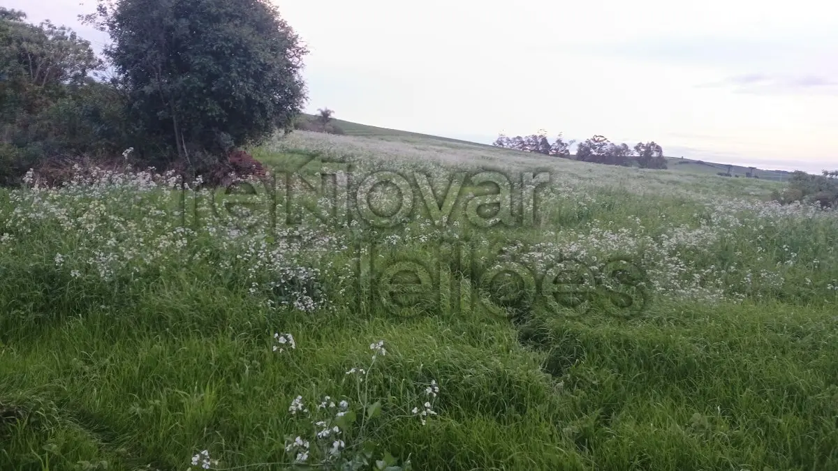 LOTE 003 - ÁREA RURAL C / 0,5 HECTARES - MAXIMILIANO DE ALMEIDA / RS