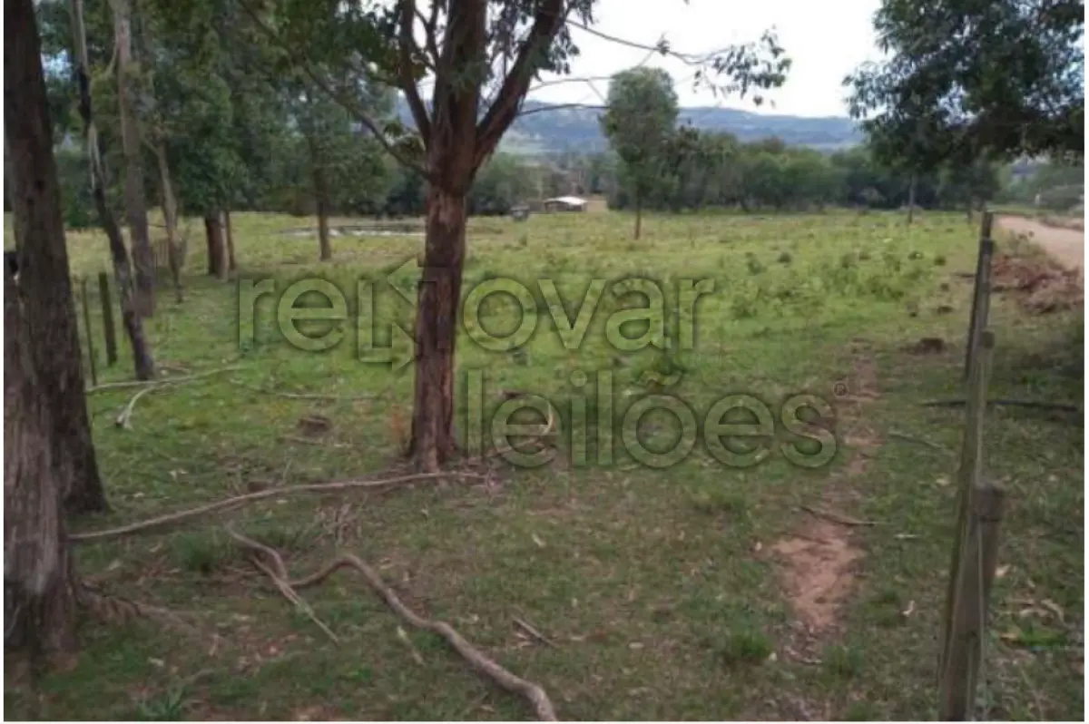 LOTE 002 - ÁREA RURAL C/ 3,2164 HEC  -  ROQUE GONZALES / RS