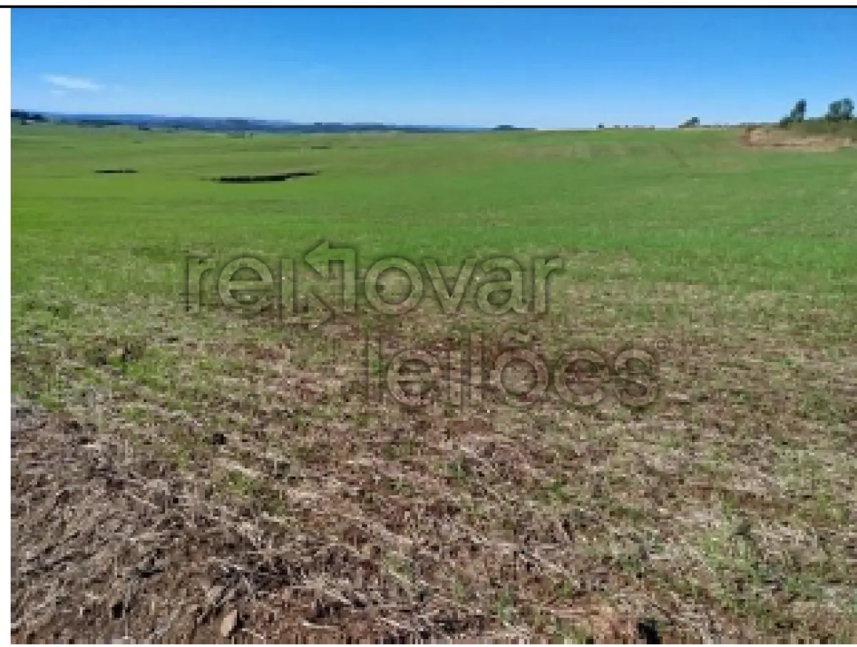 LOTE 001 - ÁREA RURAL C / 22 HECTARES - PIRAPÓ / RS