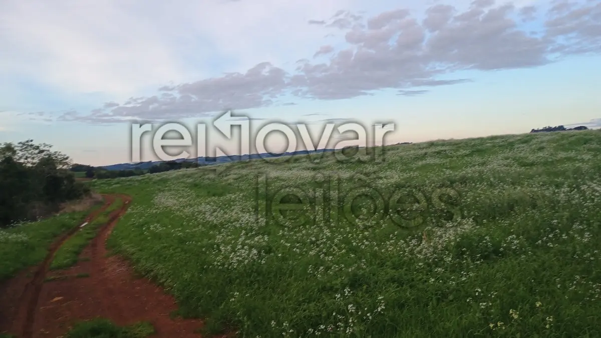 LOTE 003 - ÁREA RURAL C / 0,5 HECTARES - MAXIMILIANO DE ALMEIDA / RS