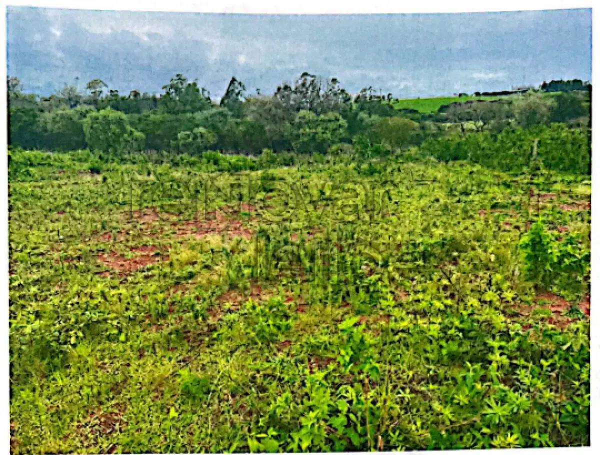 LOTE 004 - TERRENO URBANO C/ 260.000,00 M² -  SÃO LUIZ GONZAGA - RS