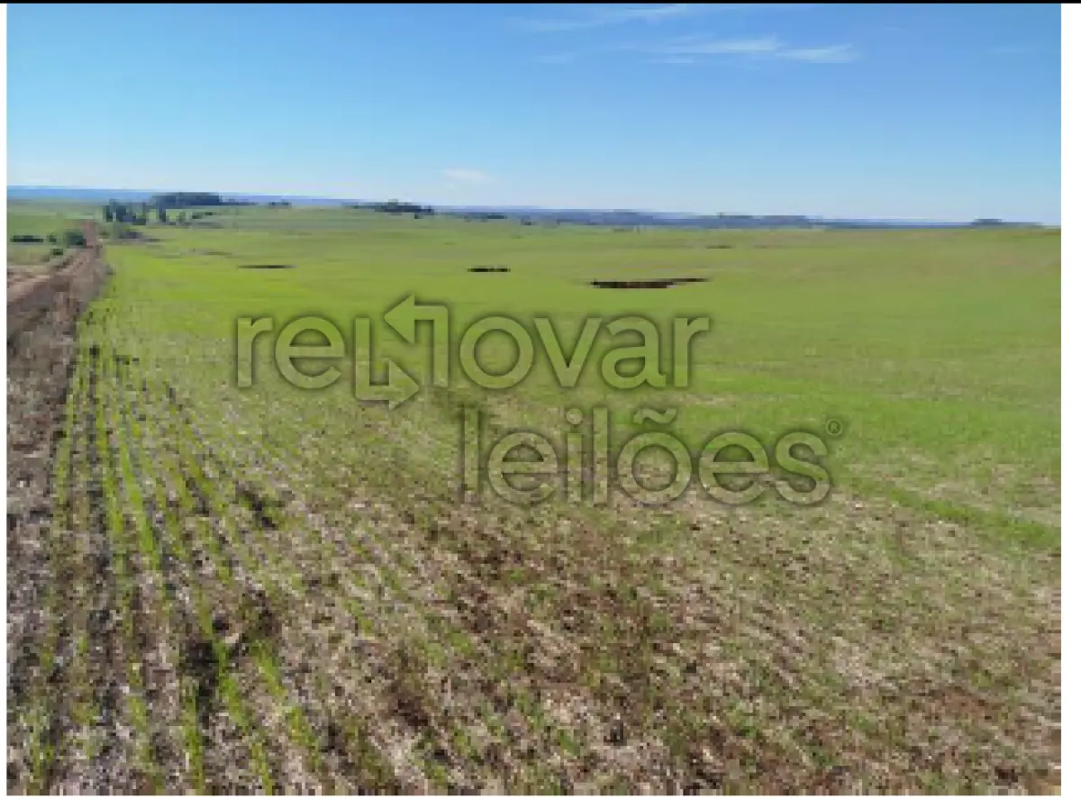 LOTE 001 - ÁREA RURAL C / 22 HECTARES - PIRAPÓ / RS