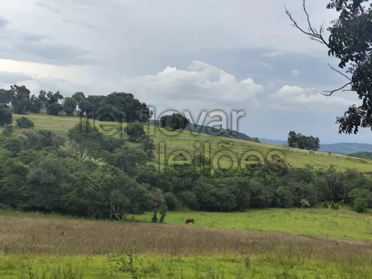LOTE 004 - ÁREA RURAL C / 7 HECTARES - SÃO PEDRO DO SUL / RS