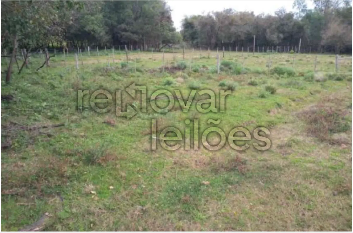 LOTE 002 - ÁREA RURAL C/ 3,2164 HEC  -  ROQUE GONZALES / RS