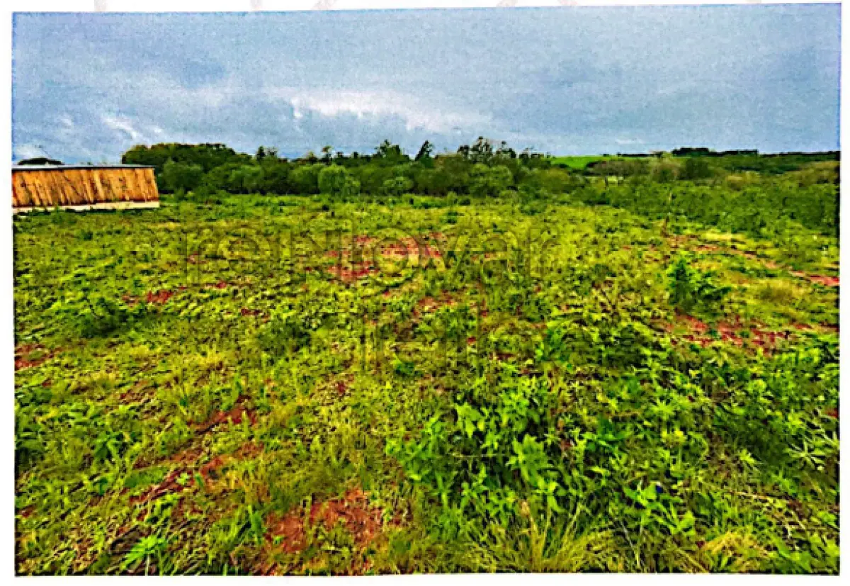 LOTE 004 - TERRENO URBANO C/ 260.000,00 M² -  SÃO LUIZ GONZAGA - RS