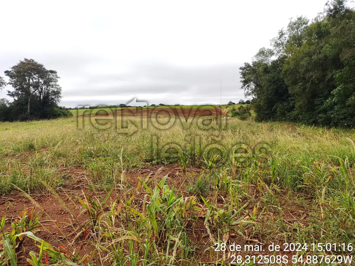 LOTE 005 - ÁREA RURAL  C/  21.490,00 M² -  SÃO LUIZ GONZAGA - RS