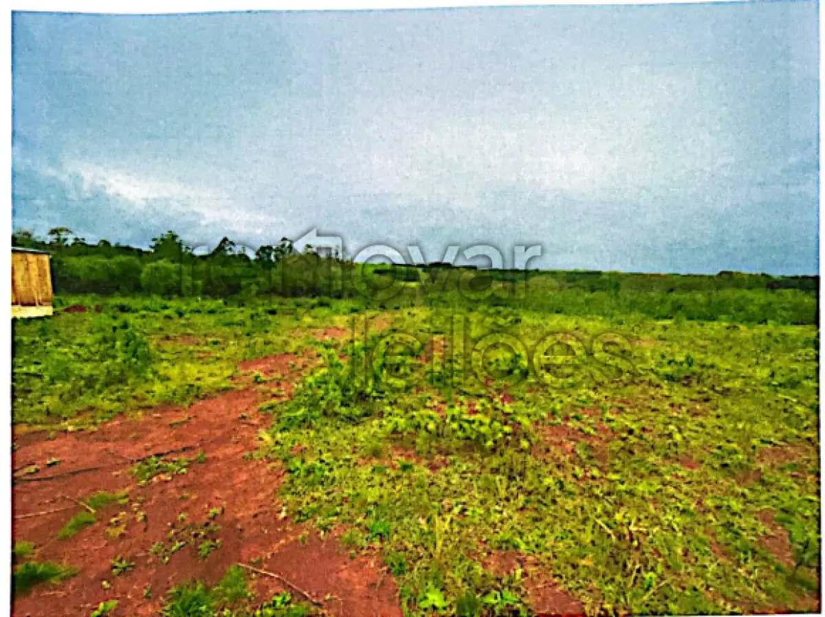 LOTE 004 - TERRENO URBANO C/ 260.000,00 M² -  SÃO LUIZ GONZAGA - RS