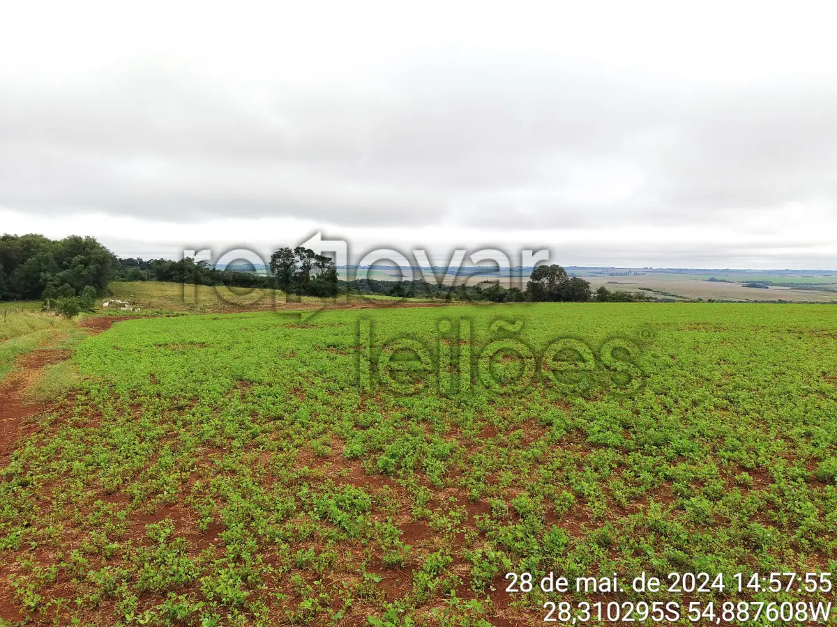 LOTE 005 - ÁREA RURAL  C/  21.490,00 M² -  SÃO LUIZ GONZAGA - RS