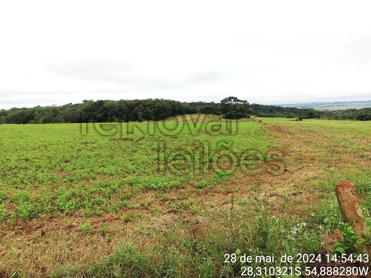 LOTE 005 - ÁREA RURAL  C/  21.490,00 M² -  SÃO LUIZ GONZAGA - RS