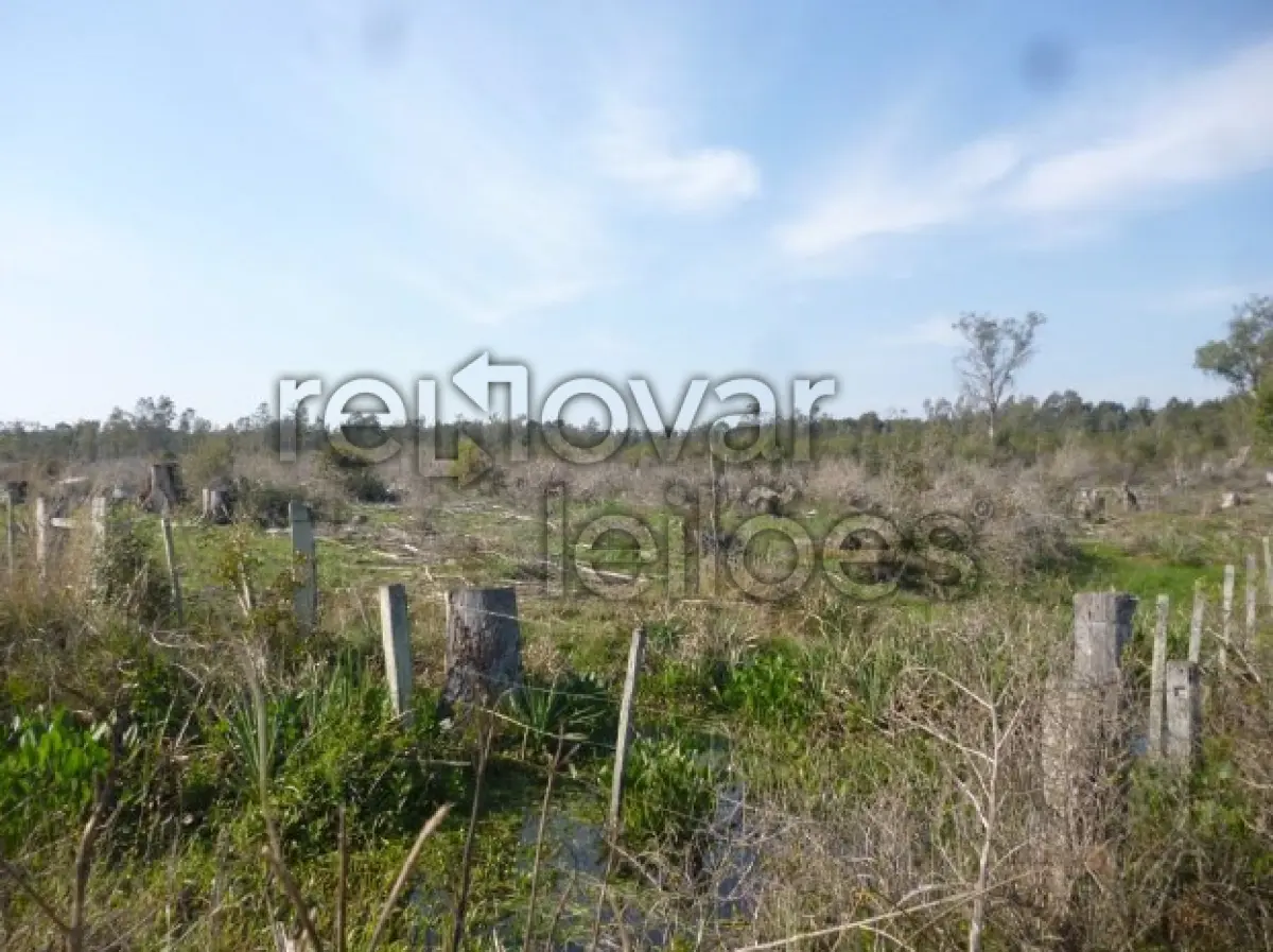 LOTE 001 - ÁREA RURAL C/ 150 HEC - CACHOEIRA DO SUL / RS