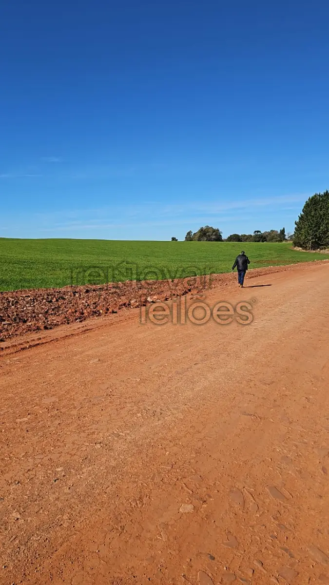 LOTE 001 - ÁREA RURAL C/ 14 HEC + ÁREA C/ 10 HEC - SANTIAGO / RS